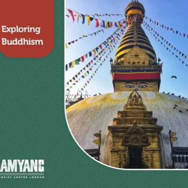 Exploring Buddhism Online